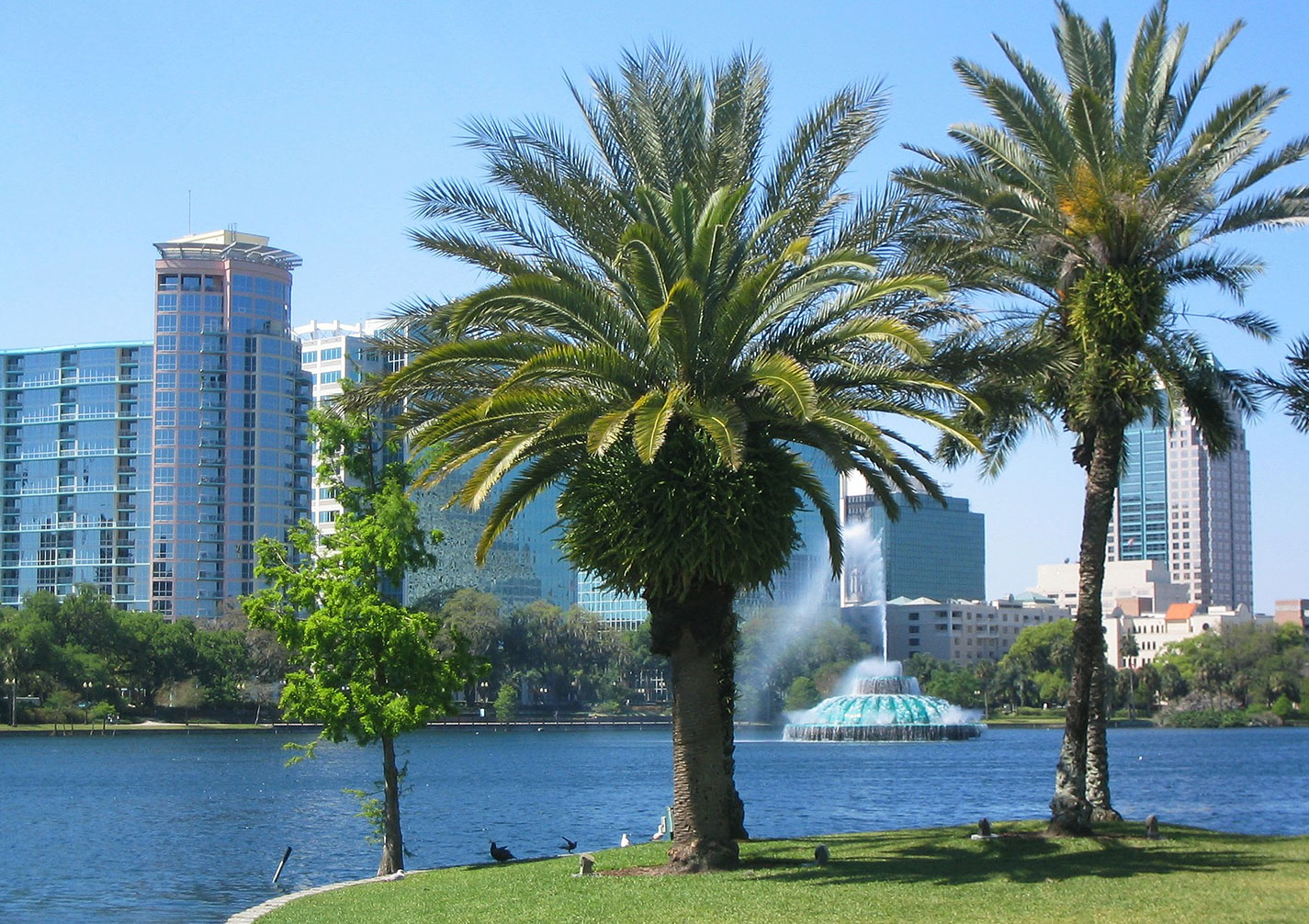 Orlando